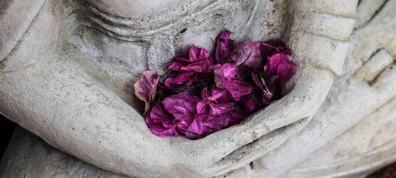 Caring bij Nyingma Centrum Nederland - Boeddha met bougainvilleblaadjes