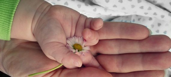 Korte cursus Caring from the Heart - Goed zorgen voor jezelf - bij Nyingma Centrum Nederland