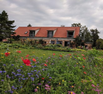 Neu Plaue Retreat Center | Location for Time Space Knowledge Retreats with Jack Petranker from the Center for Creative Inquiry