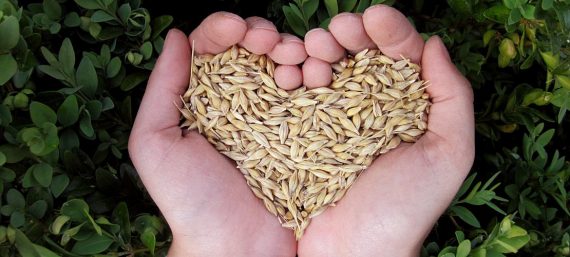 Ontdek de stille kracht van zorgzaamheid in de weekendretraite Caring from the Heart - Nyingma Centrum Nederland