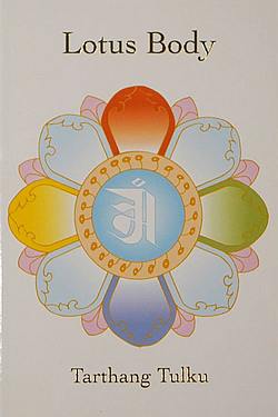 Lotus Body | The first book in the Lotus Trilogy by Tarthang Tulku | The book invites you to discover in your own experience how reality takes shape.